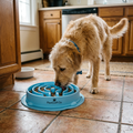 PawCraft Co. Slow Feeder Dog Bowl lifestyle